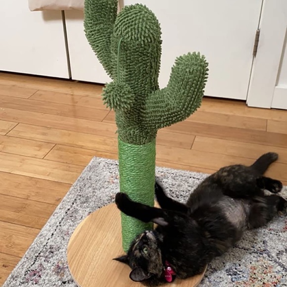 🌵 adorable bohemian desert cactus cat scratcher made of natural Sisal  rope🌵 - Picture 7 of 17